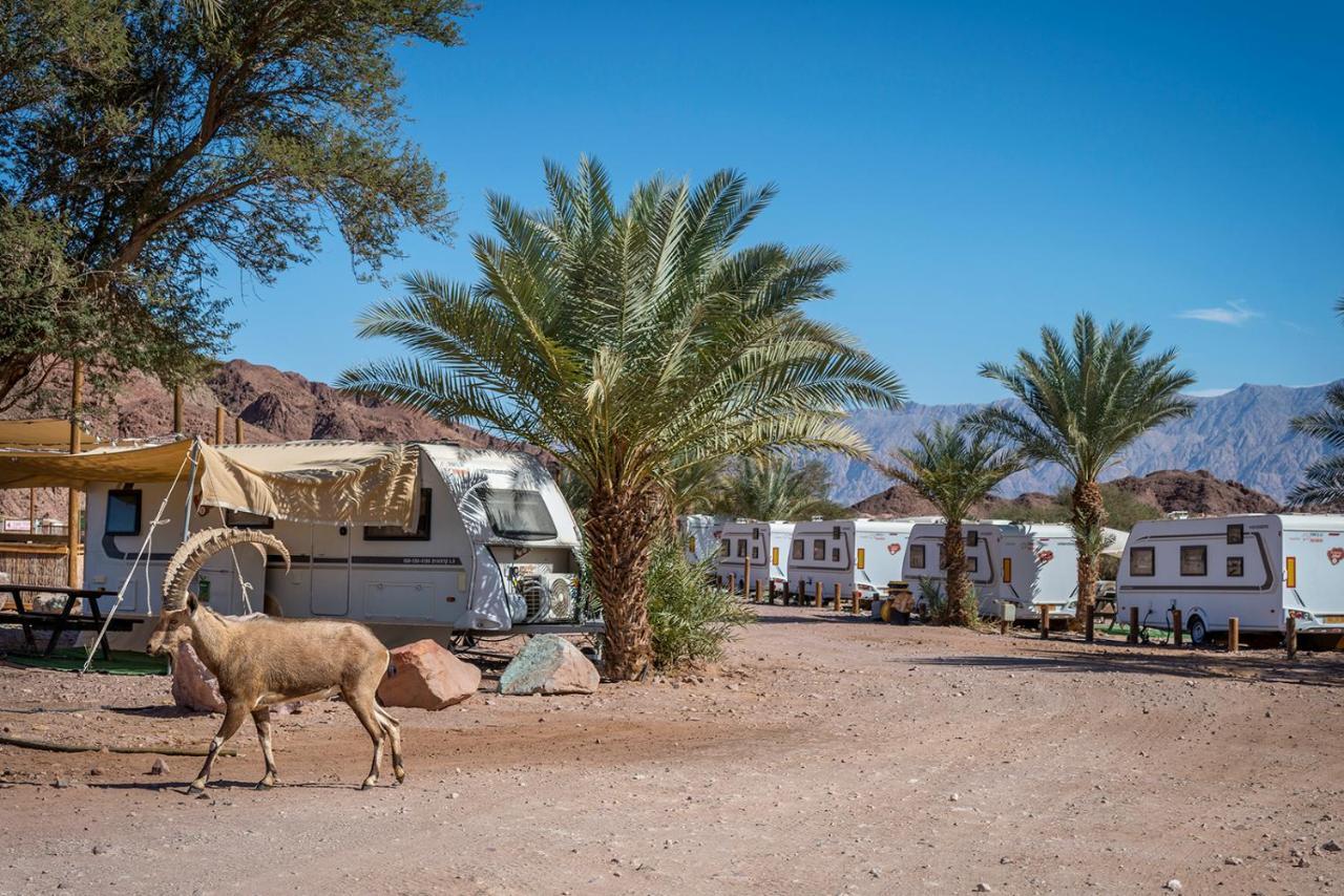 Park Timna Hotell Eilat Eksteriør bilde